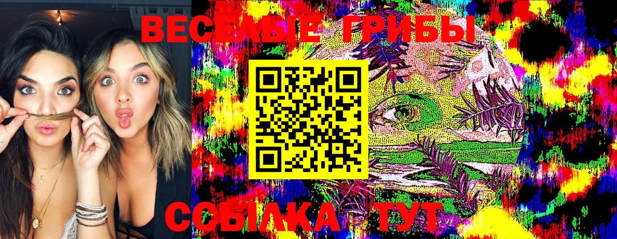 Галлюциногенные грибы Psilocybine cubensis Серов
